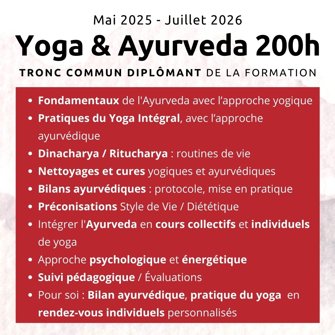 Tronc commun - PF8 Formation Yoga et Ayurveda, Stage