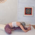 2024-2025 Matinée de Yoga 1 Postures de Flexion Janu Sirsasana