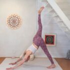 2024-2025 Matinée de Yoga 5 Postures inversées Ekapada Adho Mukha Svanasana