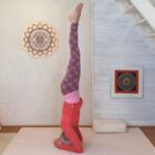 2025 01 - Stage de yoga Lilas Asana Michèle Lefèvre Sirsasana