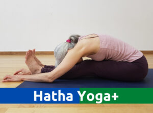 4 Abonnement Hatha Yoga