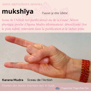 8 Mukshiya