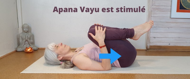 Apana Vayu - Pratique du Yoga et les 5 Vayus, Apanasana