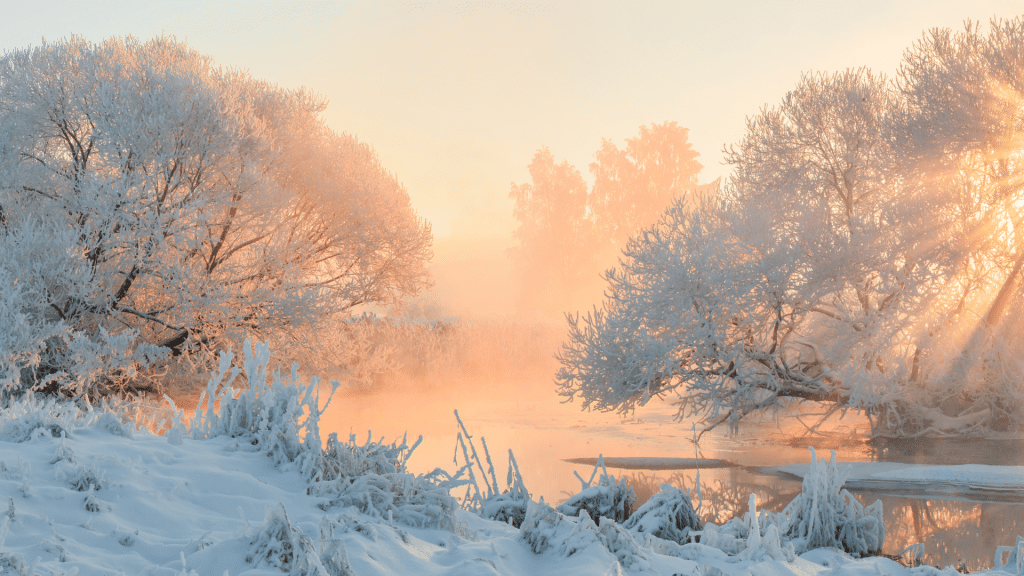 Ayurveda et yoga en hiver / Auto-massage ayurvédique