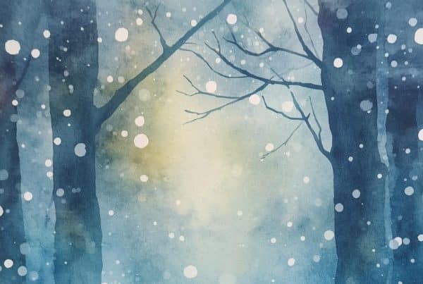 Bandeau neige forêt hiver