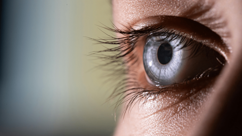 Drishti regard