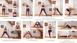 Journal du Yoga Pratique Eté