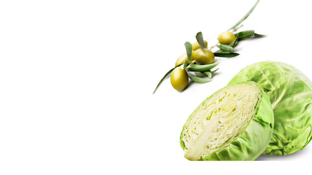 Pâté végétal du Ventoux