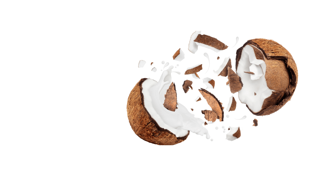 Petites boulettes de fruits secs à la noix de coco.png