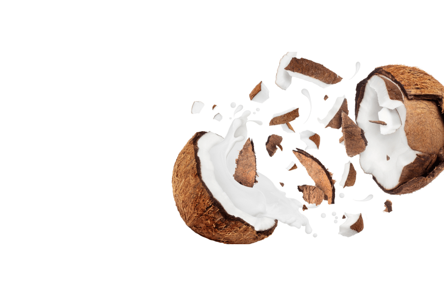 Petites boulettes de fruits secs à la noix de coco.png