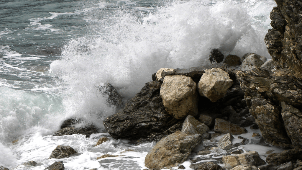 Plus qu’un rêve ! Gratitude