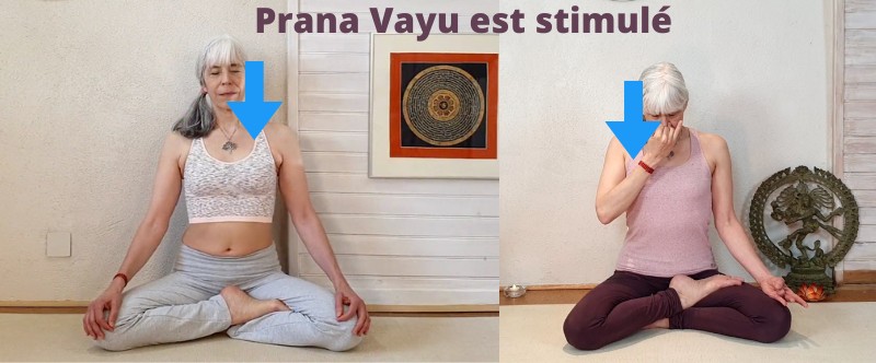 Prana Vayu - Pranayama, Pratique du Yoga et les 5 Vayus