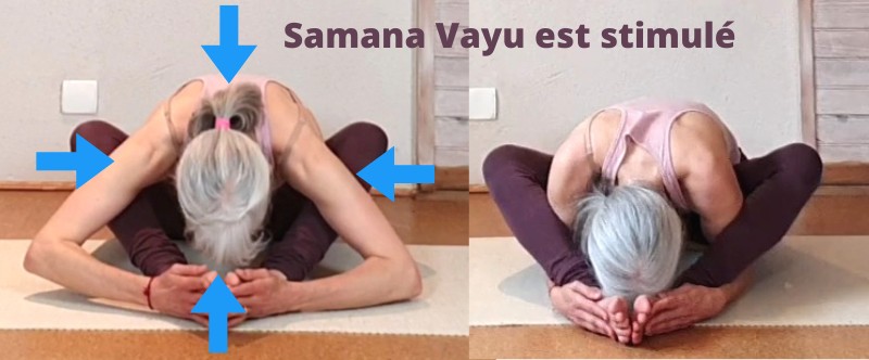 Samana Vayu - Pratique du Yoga et les 5 Vayus, Tarasana