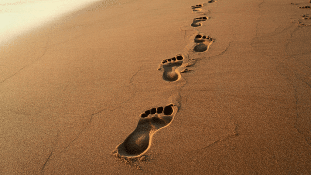 Saṃskāra - Les empreintes qui nous habitent