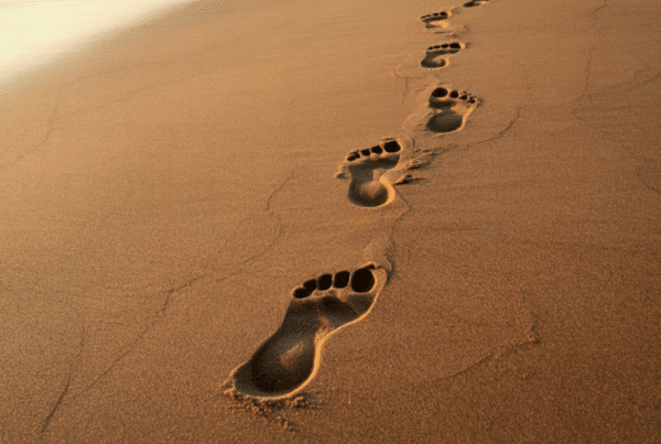 Saṃskāra - Les empreintes qui nous habitent