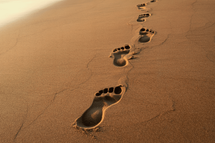 Saṃskāra - Les empreintes qui nous habitent