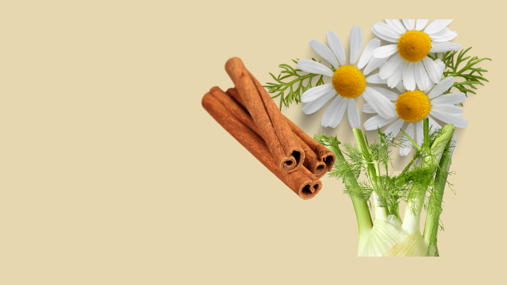 Tisane ayurvédique du dîner