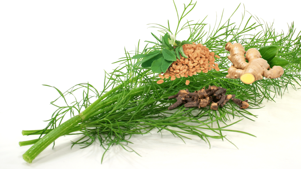 Tisane pour pacifier Kapha ou pour l’hiver