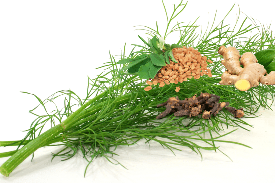 Tisane pour pacifier Kapha ou pour l’hiver