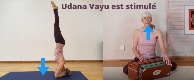 Udana Vayu - Pratique du Yoga et les 5 Vayus, Sirsasana, Chant de Kirtan