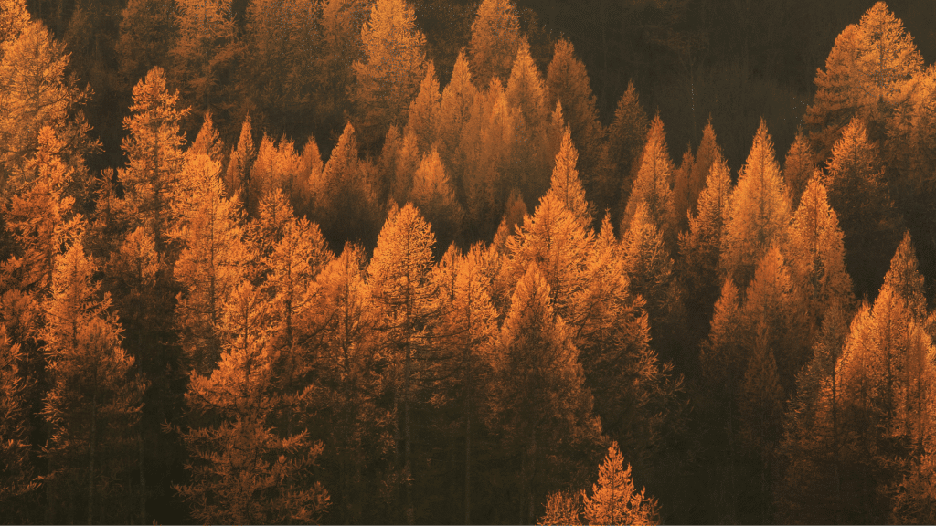 Variante de Dvipada Pittham