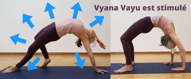 Vyana Vayu - Pratique du Yoga et les 5 Vayus, Camatkaranasana, Urdhva Dhanurasana