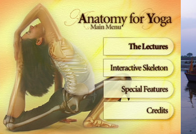 anatomy for yoga2 400x275 1