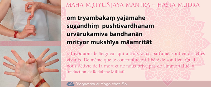 blog maha mrtyunjaya mantra hasta mudra2
