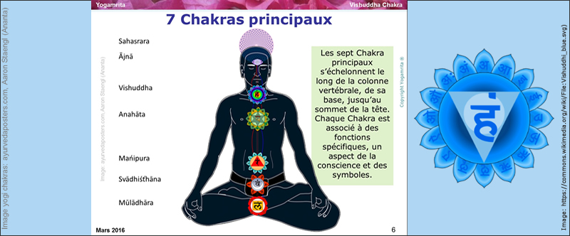 Les sept Chakra : un thème à approfondir