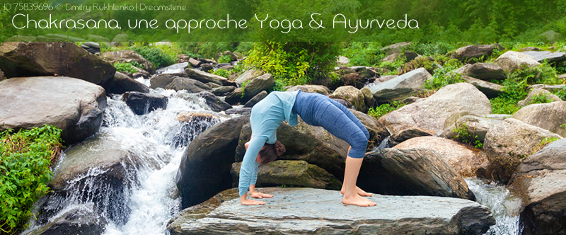 Chakrasana, une approche «Yoga & Ayurveda»