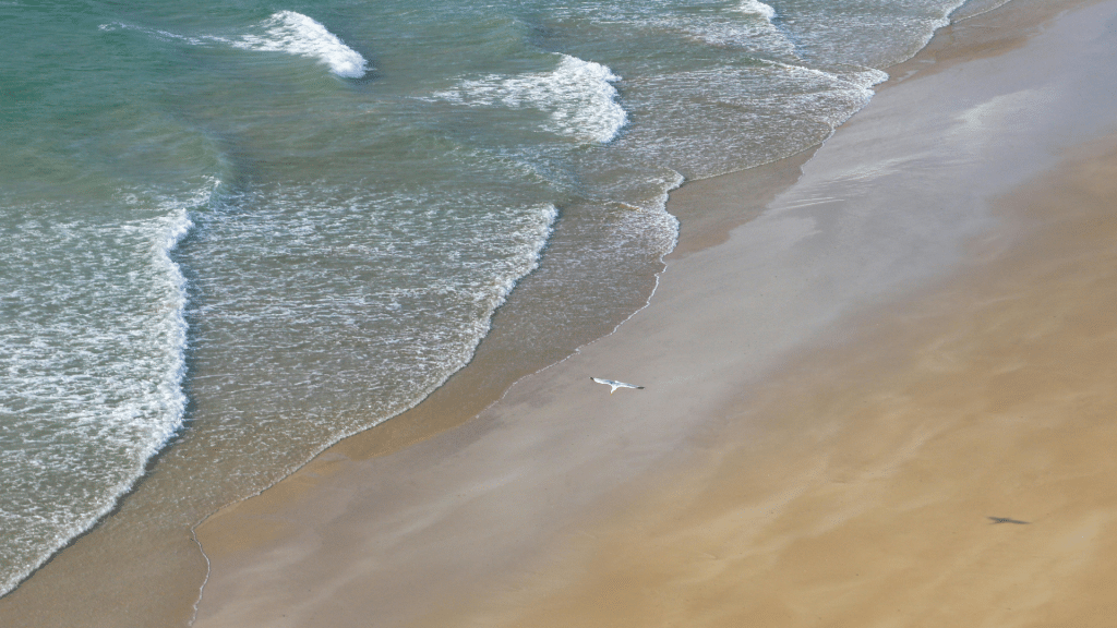 Yoga Sutra de Patanjali - mer