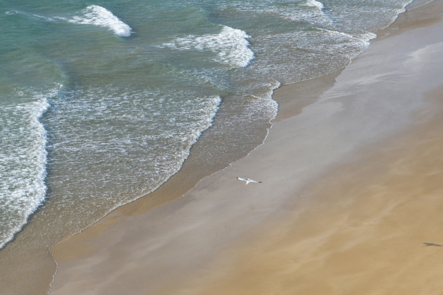 Yoga Sutra de Patanjali - mer