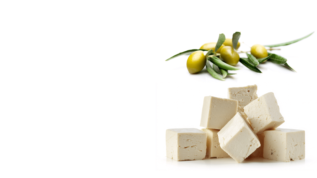 Galettes de tofu aux olives