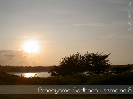 pranayama sadhana8