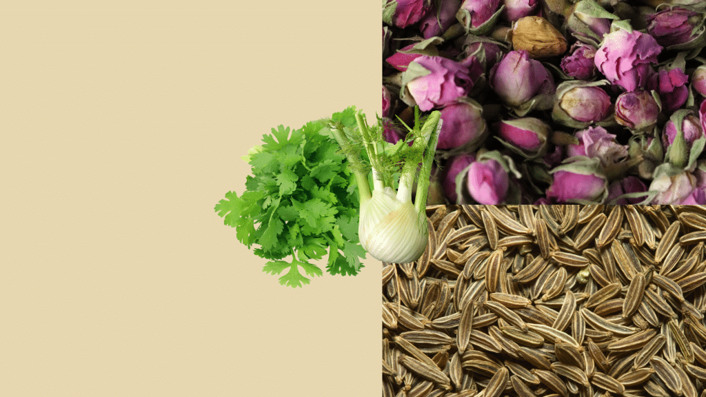 Tisane pour pacifier Pitta