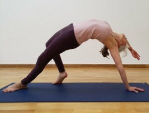 yoga integral yogamrita chez soi 1