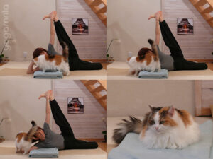 yoga chat anantasana2