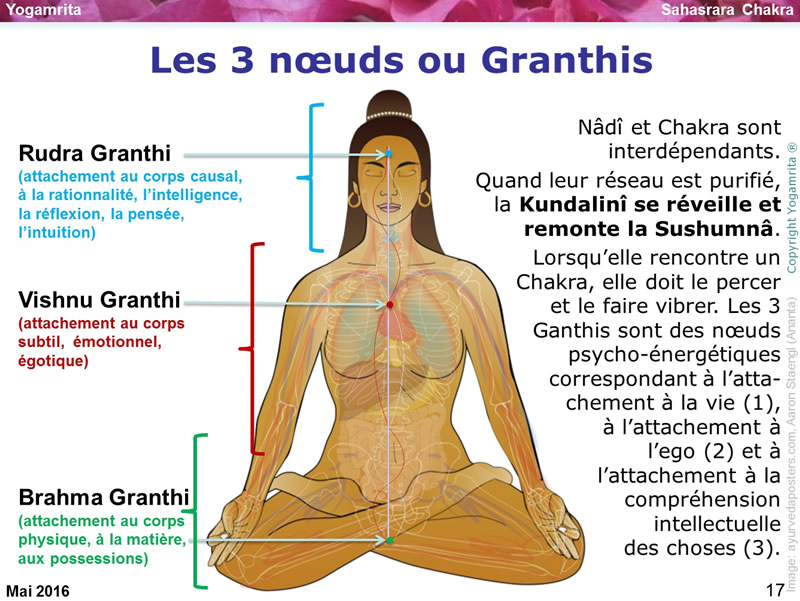 yogamrita 3 granthis 1
