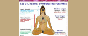 yogamrita 3 granthis lingams