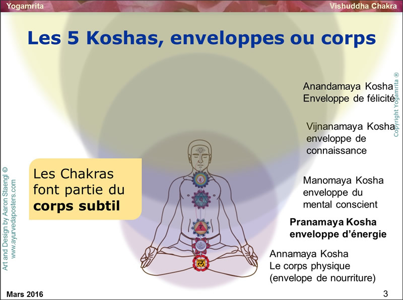 yogamrita 5 koshas 1