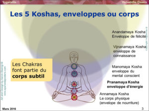 yogamrita 5 koshas