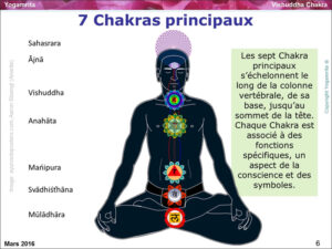 yogamrita 7 chakras principaux 1