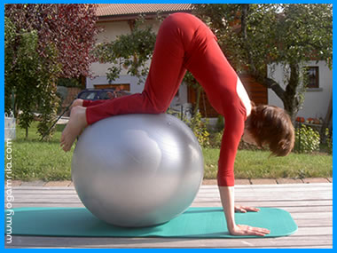 yogamrita ballon extension roule dynamique2 1