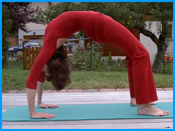 yogamrita chakrasana