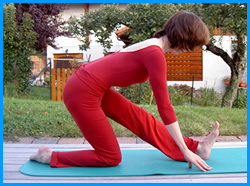 yogamrita flexion avant variante 250