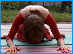 yogamrita gomukhasana flexion avant