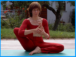 yogamrita jambe devant poitrine