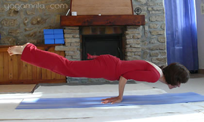 yogamrita mayurasana classique
