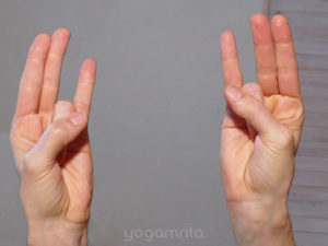 yogamrita surya mudra 1
